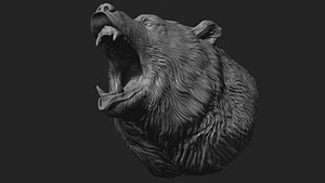 Bear head model