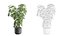 Pack de plantes d'intérieur 97