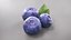 Fruits and Berries