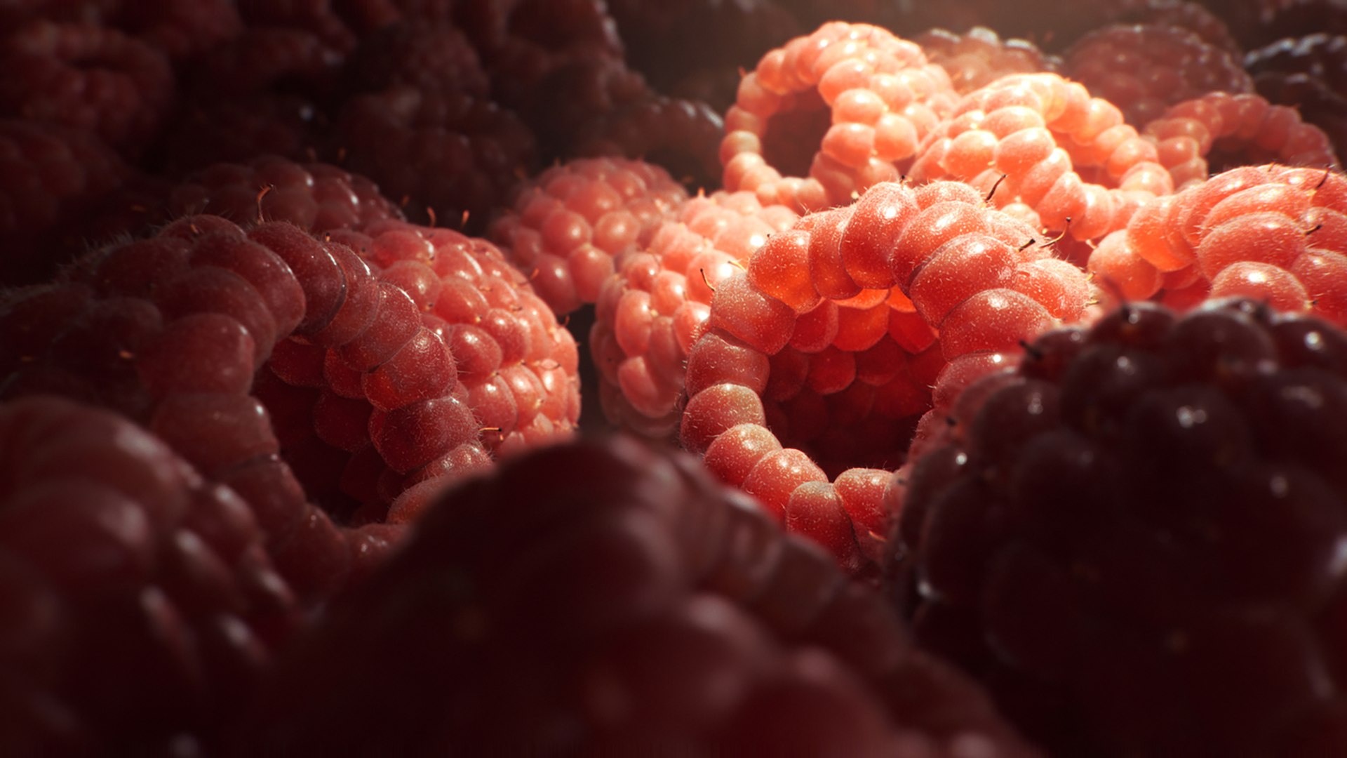 3D model strawberries blackberry orange https://p.turbosquid.com/ts-thumb/6y/GuwX4m/LRT4MltO/raspberries/jpg/1606308566/1920x1080/fit_q87/b5a0aab8e78fe81130c82505e6363e8d19773d21/raspberries.jpg