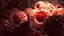 Fruits and Berries