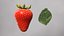 Fruits and Berries