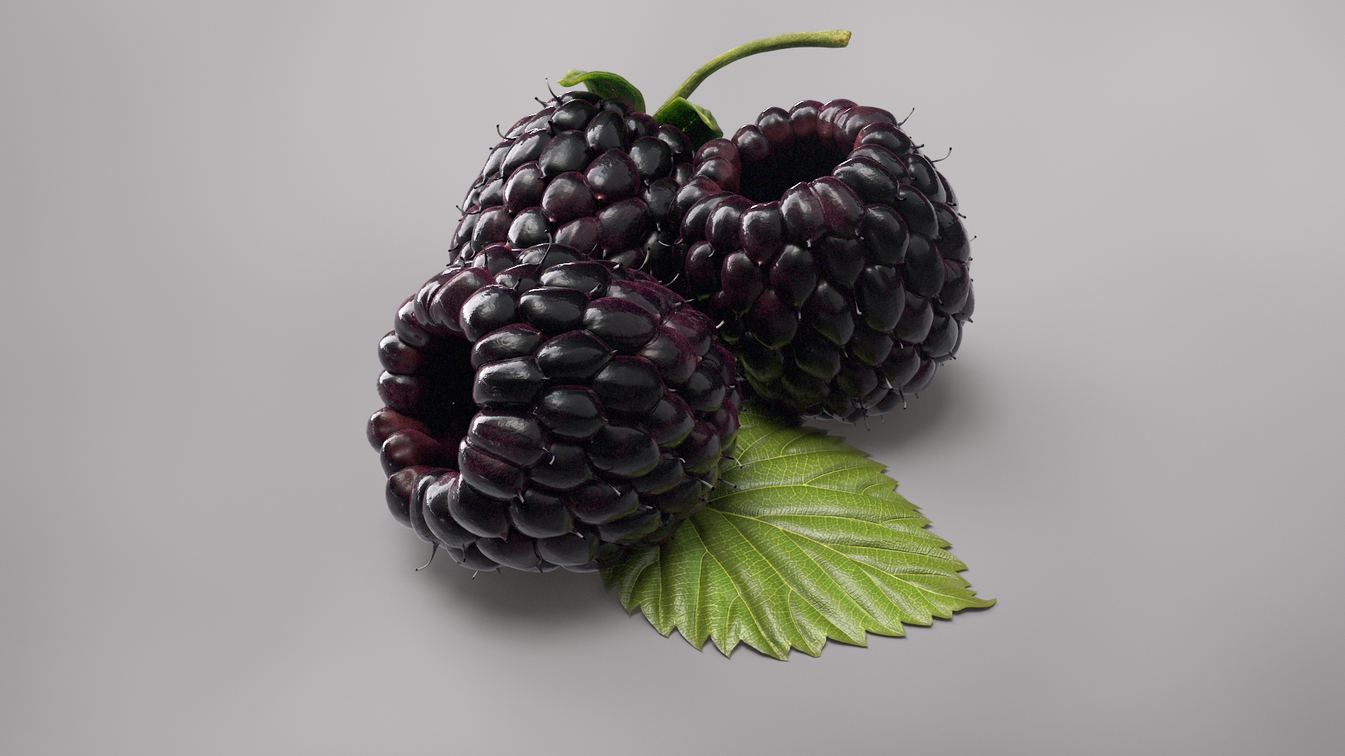 3D model strawberries blackberry orange https://p.turbosquid.com/ts-thumb/6y/GuwX4m/ci/beauty/jpg/1611859233/1920x1080/turn_fit_q99/5a2d0b63df095abda72fa35fed6d862f26b385f9/beauty-1.jpg