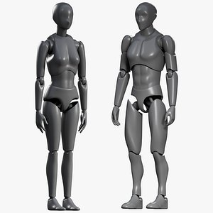 Male and Female Articulated Action Figure