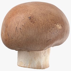 3D crimino mushroom 01 model
