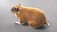 Hamster mit Fell