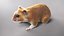 Hamster mit Fell