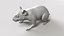 Hamster mit Fell