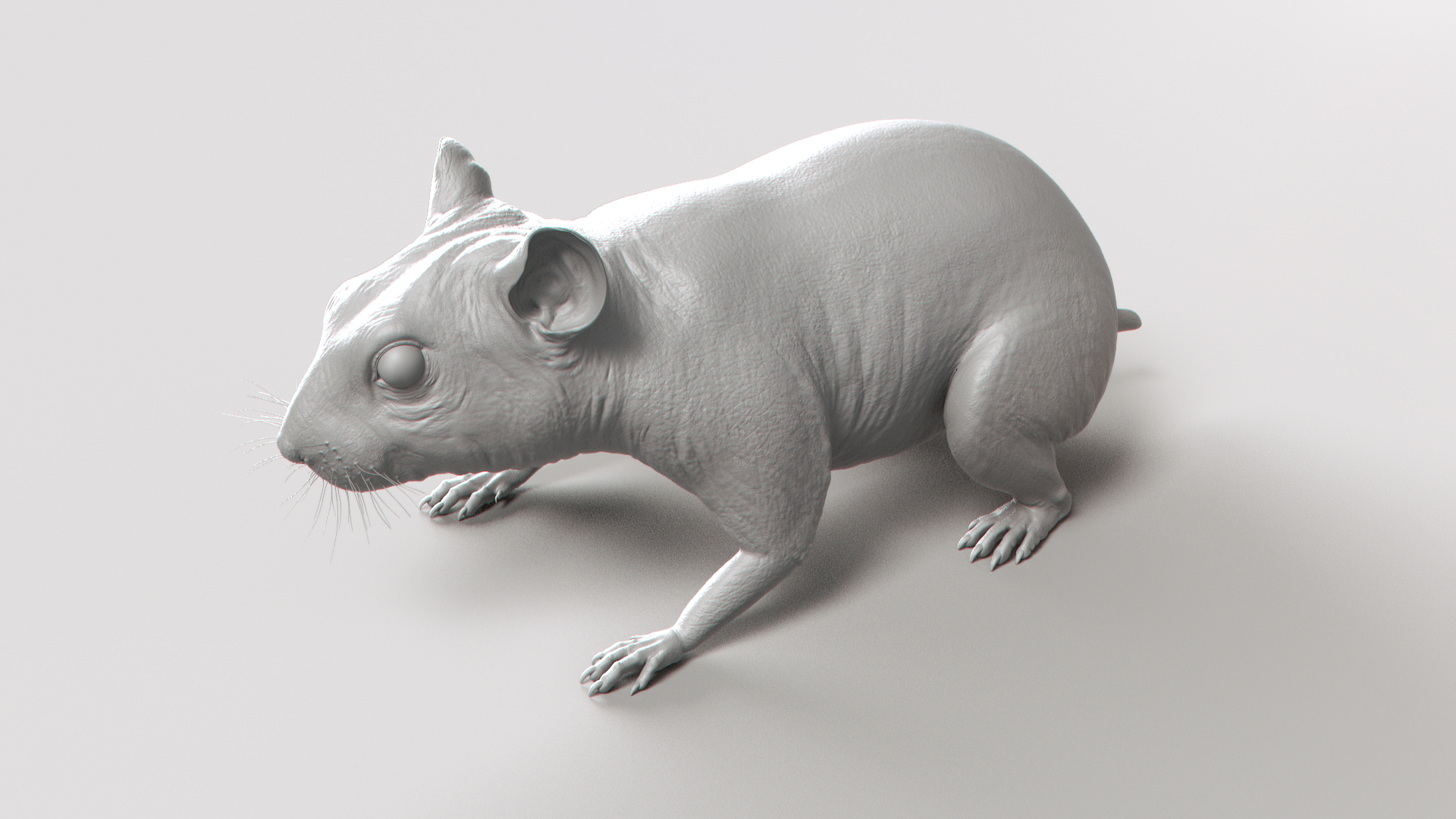 3D hamster hair fur https://p.turbosquid.com/ts-thumb/6y/WguyxI/FzIRNEoq/shade/jpg/1606945505/1920x1080/turn_fit_q99/cdb4abcb1ec80e8914831af7d8c876d6d809886e/shade-1.jpg