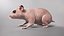 Hamster mit Fell