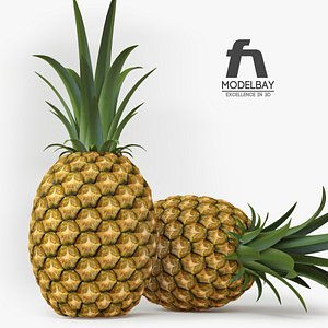 3d realistic pineapple fruit