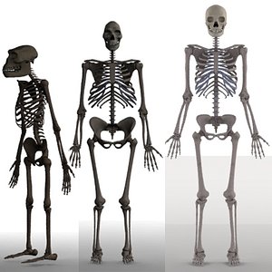 skeletons