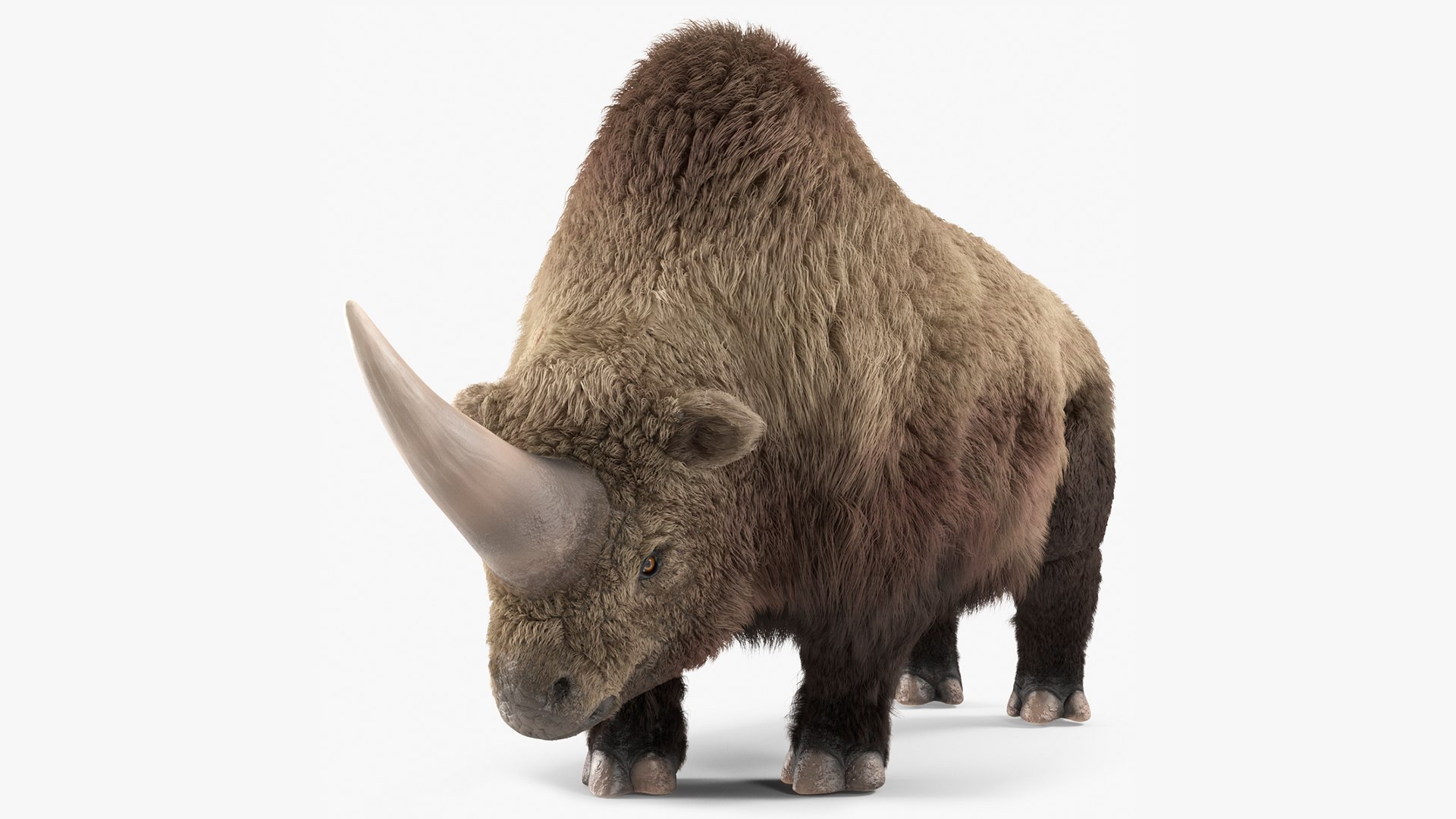 Elasmatherium Standing Pose Fur 3D model preview