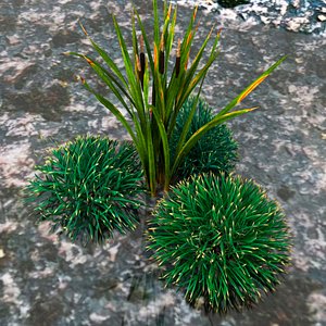 grass bush 3d max
