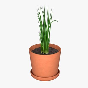 3D Chives Pot Plant
