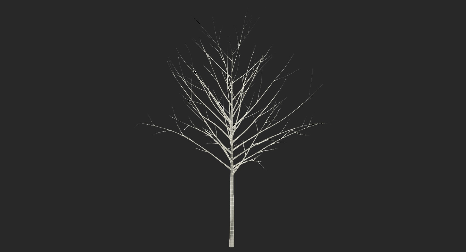 3D model winter trees 4 https://p.turbosquid.com/ts-thumb/6y/sgY7rp/2ErjSOYV/wintertreescollection43dmodel056/jpg/1582678671/1920x1080/fit_q87/85594de68da67e831b19ce075fc039906e9f7a74/wintertreescollection43dmodel056.jpg