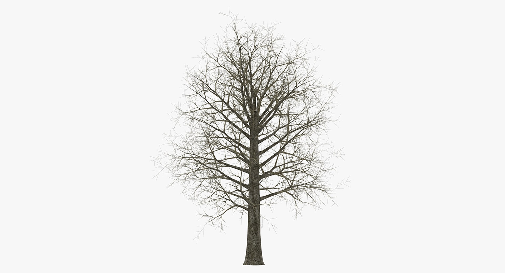3D model winter trees 4 https://p.turbosquid.com/ts-thumb/6y/sgY7rp/2sRvCIfN/wintertreescollection43dmodel026/jpg/1582678505/1920x1080/fit_q87/fb70b53fb0444ddfbc548daaa006b00a1933836c/wintertreescollection43dmodel026.jpg