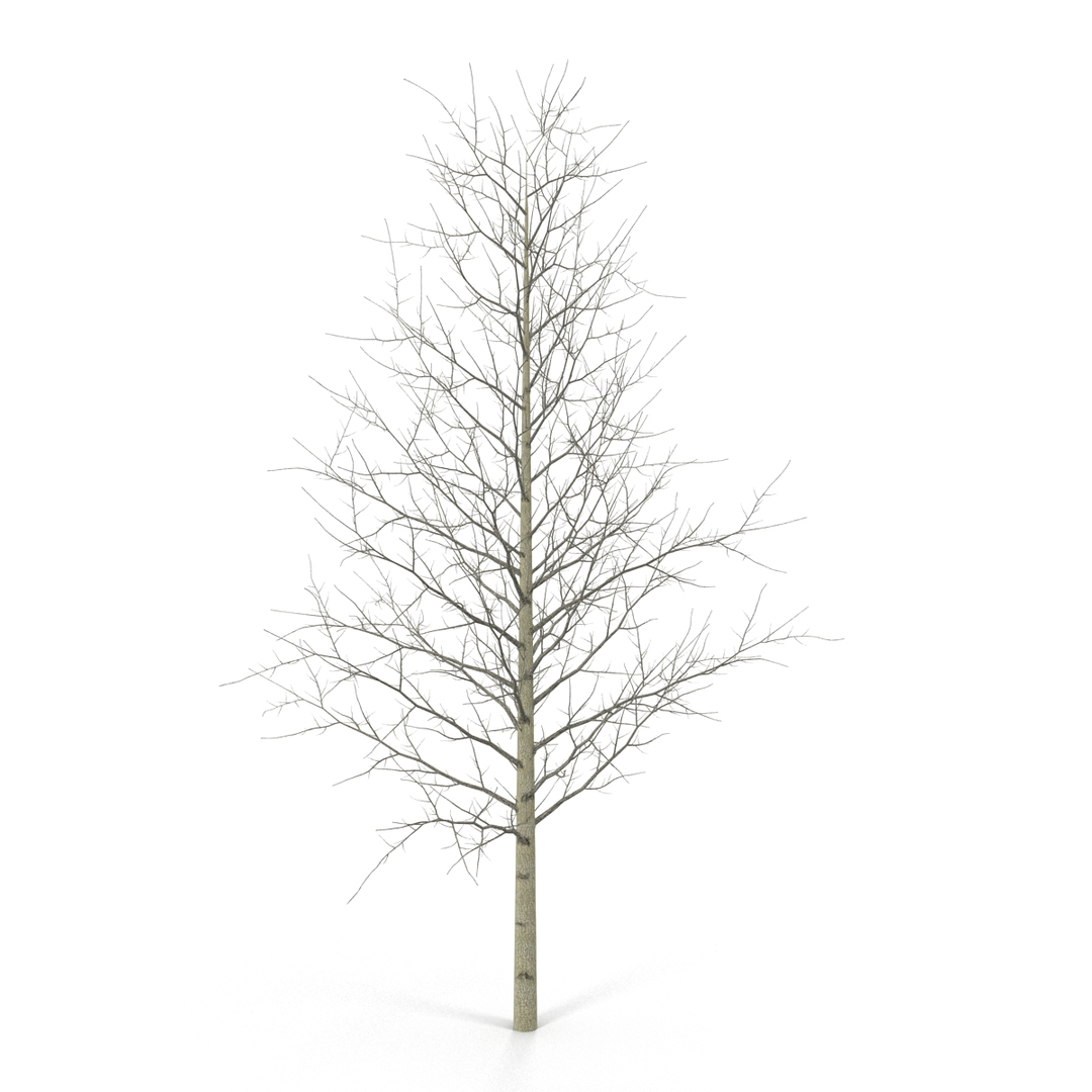 3D model winter trees 4 https://p.turbosquid.com/ts-thumb/6y/sgY7rp/32pFyUjh/winter_trees_collection_4_376/jpg/1582674854/1920x1080/turn_fit_q99/a8d5ba7f540522b6b75842997536903287ae263c/winter_trees_collection_4_376-1.jpg