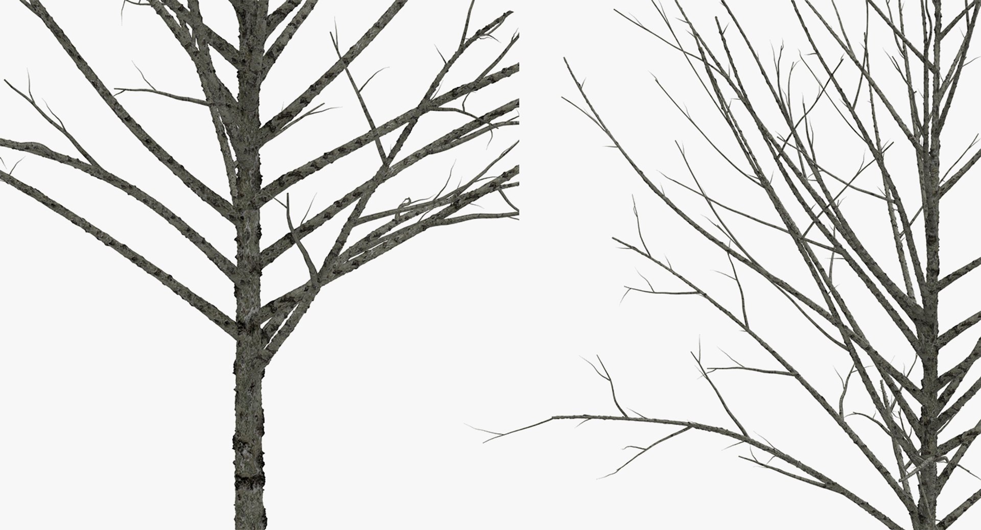 3D model winter trees 4 https://p.turbosquid.com/ts-thumb/6y/sgY7rp/3XbMYQpt/wintertreescollection43dmodel039/jpg/1582678579/1920x1080/fit_q87/e40178ca5740e5408f76bf5828750b5d17dd8b22/wintertreescollection43dmodel039.jpg