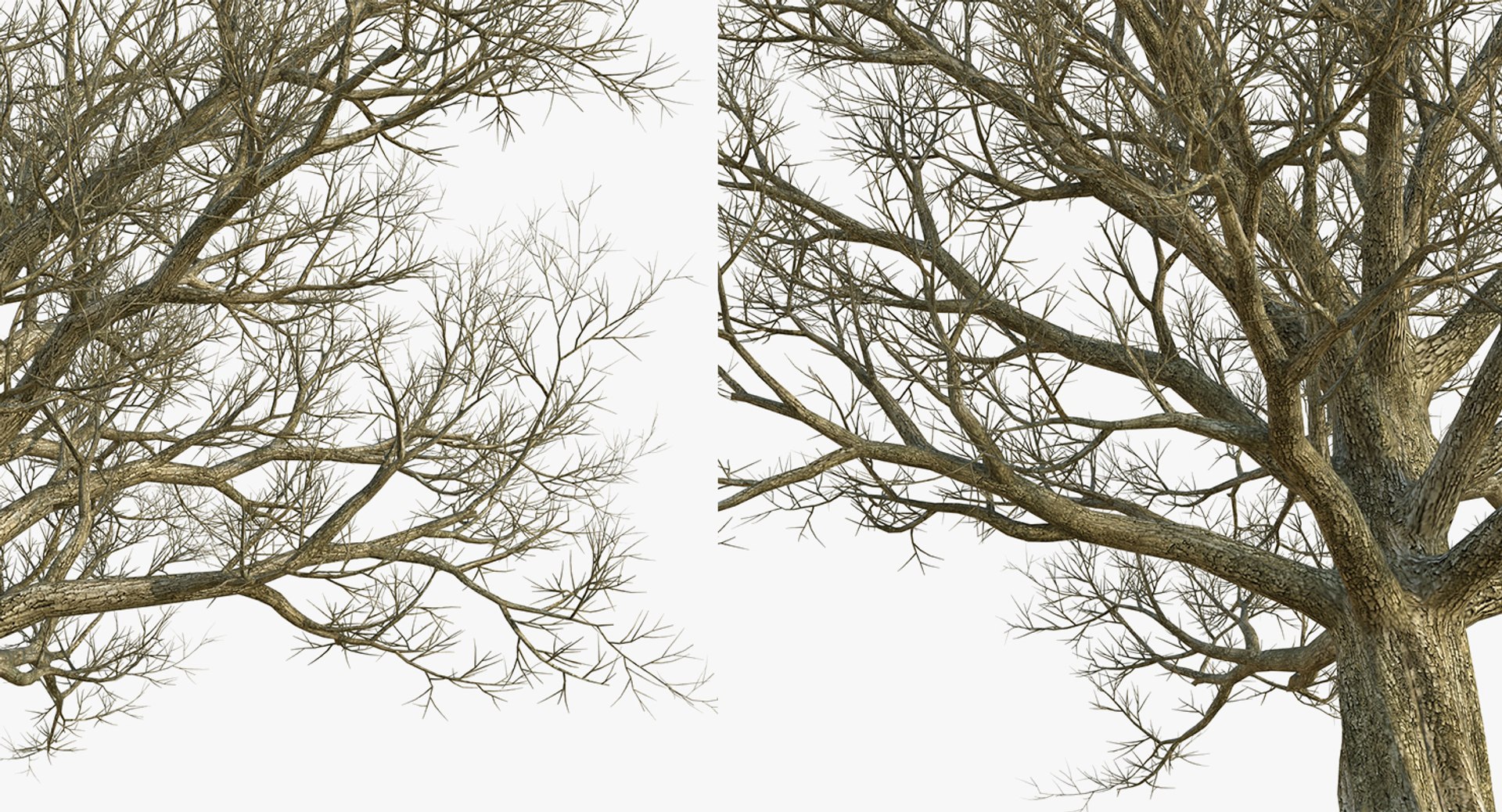 3D model winter trees 4 https://p.turbosquid.com/ts-thumb/6y/sgY7rp/5ptuNcFw/wintertreescollection43dmodel023/jpg/1582678488/1920x1080/fit_q87/bf27cbbc246014aaf7ef0f25d1ad00533a8c916b/wintertreescollection43dmodel023.jpg