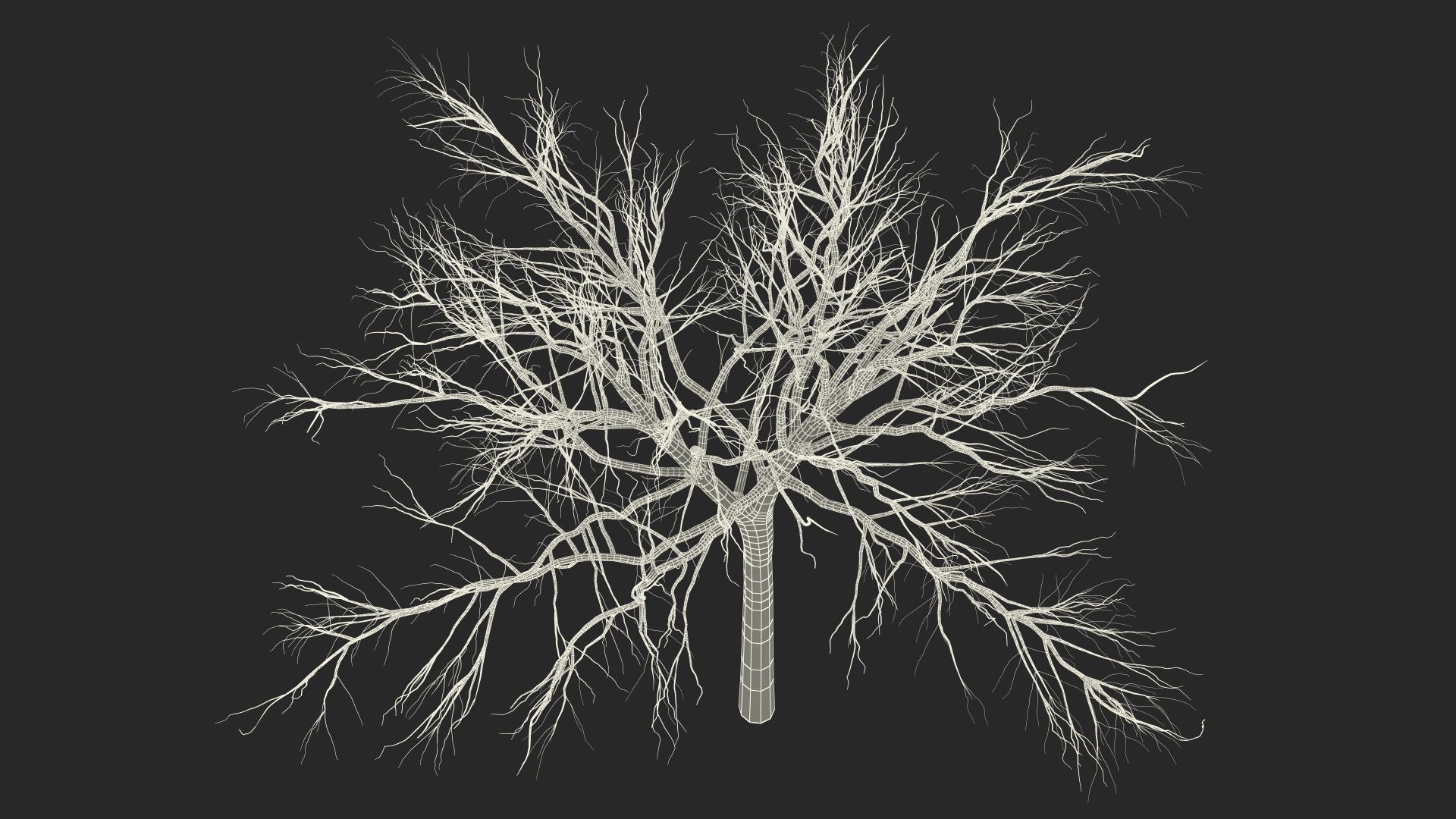 3D model winter trees 4 https://p.turbosquid.com/ts-thumb/6y/sgY7rp/C7nw7OBY/wintertreescollection43dmodel046/jpg/1582678618/1920x1080/fit_q87/a72f192b08f1b51af966054a9fcfe0d6e032e8c2/wintertreescollection43dmodel046.jpg