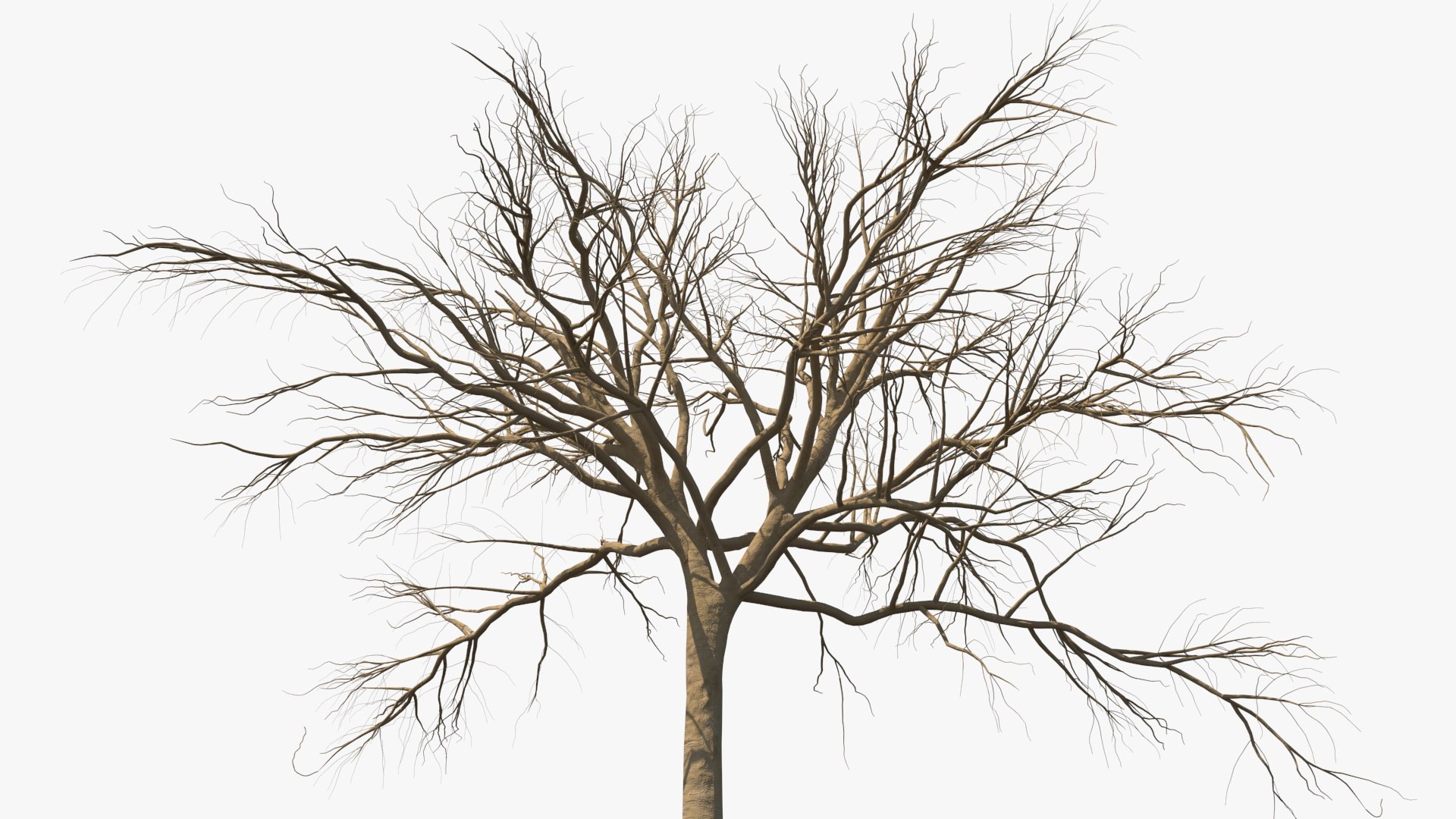 3D model winter trees 4 https://p.turbosquid.com/ts-thumb/6y/sgY7rp/ICec1YcZ/wintertreescollection43dmodel007/jpg/1582678391/1920x1080/fit_q87/64ebec2c0b715a005d5f9be9de08a68ea3aa8318/wintertreescollection43dmodel007.jpg