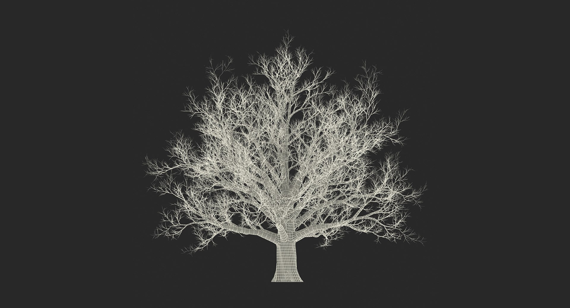 3D model winter trees 4 https://p.turbosquid.com/ts-thumb/6y/sgY7rp/Ja1pGQBF/wintertreescollection43dmodel048/jpg/1582678629/1920x1080/fit_q87/4e46a27efb0d4d4c2db32fc782aa029b4cb144be/wintertreescollection43dmodel048.jpg