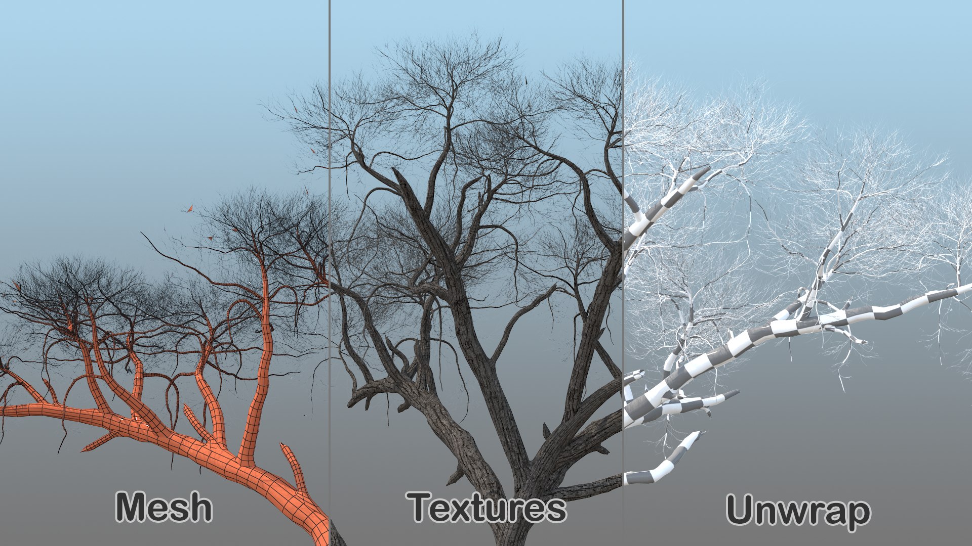 3D model winter trees 4 https://p.turbosquid.com/ts-thumb/6y/sgY7rp/KlN2J3WP/wintertreescollection43dmodel015/jpg/1582678440/1920x1080/fit_q87/b93d124f5d570ef46a9248033ea0a8a3213b31eb/wintertreescollection43dmodel015.jpg