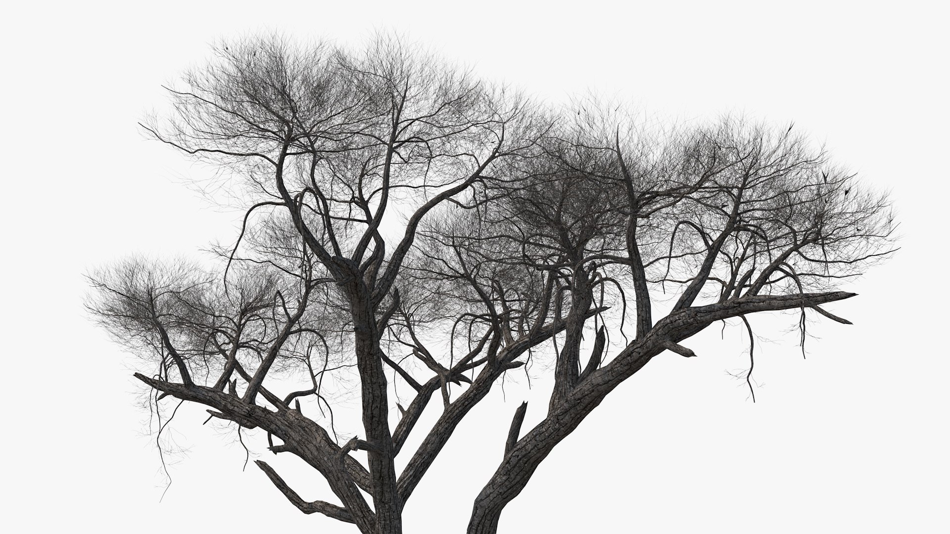 3D model winter trees 4 https://p.turbosquid.com/ts-thumb/6y/sgY7rp/OHTq4Lsw/wintertreescollection43dmodel018/jpg/1582678458/1920x1080/fit_q87/734bc09b9c7f67001fd15cec51f5c0975f83abc3/wintertreescollection43dmodel018.jpg