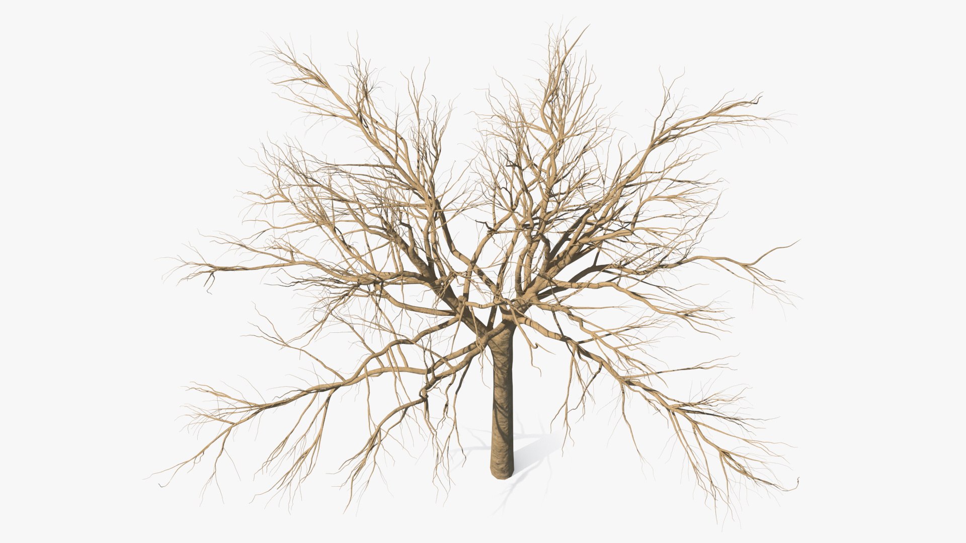 3D model winter trees 4 https://p.turbosquid.com/ts-thumb/6y/sgY7rp/TS514fIL/wintertreescollection43dmodel006/jpg/1582678385/1920x1080/fit_q87/f8a1ecdb214547157df16e4cb842c88768a0de43/wintertreescollection43dmodel006.jpg