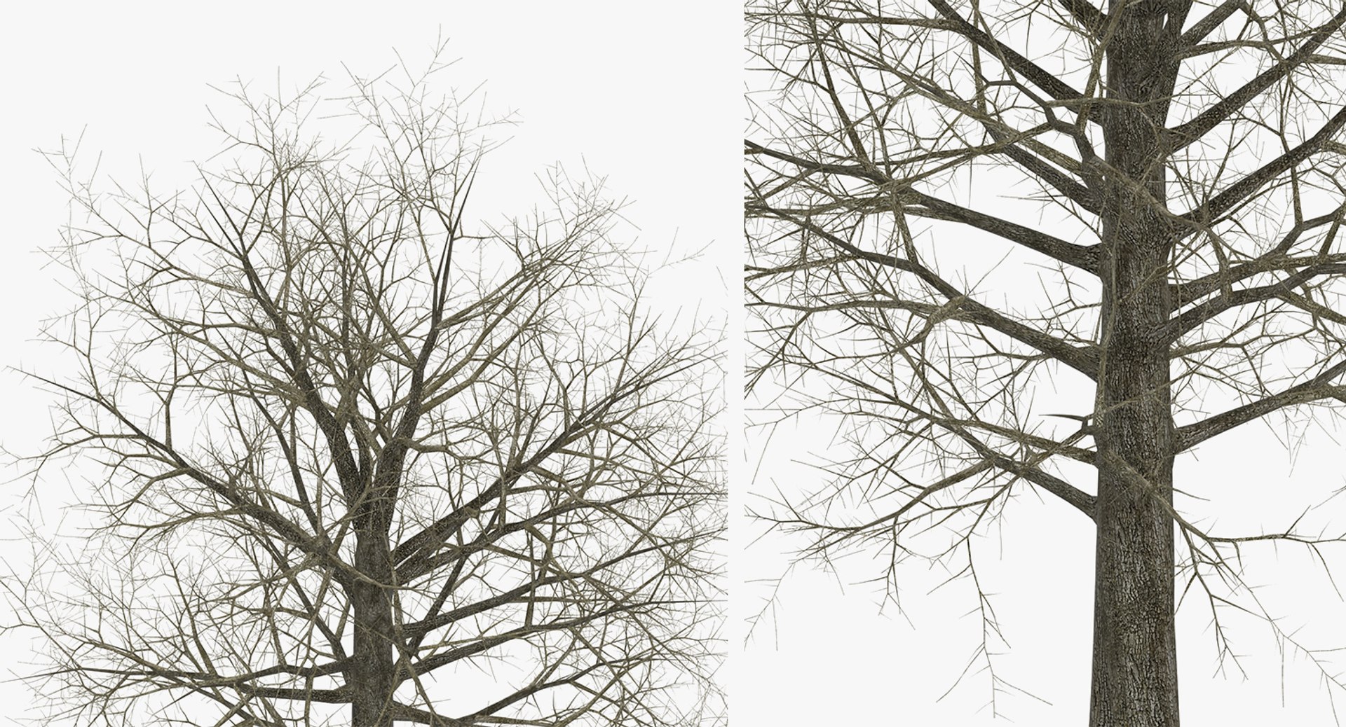 3D model winter trees 4 https://p.turbosquid.com/ts-thumb/6y/sgY7rp/Tm4BX0Go/wintertreescollection43dmodel027/jpg/1582678511/1920x1080/fit_q87/c83f4751327cbbeef1a01cdf92b1216971980f7c/wintertreescollection43dmodel027.jpg