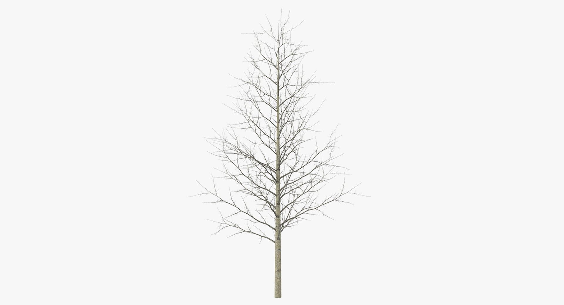 3D model winter trees 4 https://p.turbosquid.com/ts-thumb/6y/sgY7rp/XdHUje0l/wintertreescollection43dmodel034/jpg/1582678551/1920x1080/fit_q87/acb15c4038e8e527e5c2390ccc644225e9d3b160/wintertreescollection43dmodel034.jpg