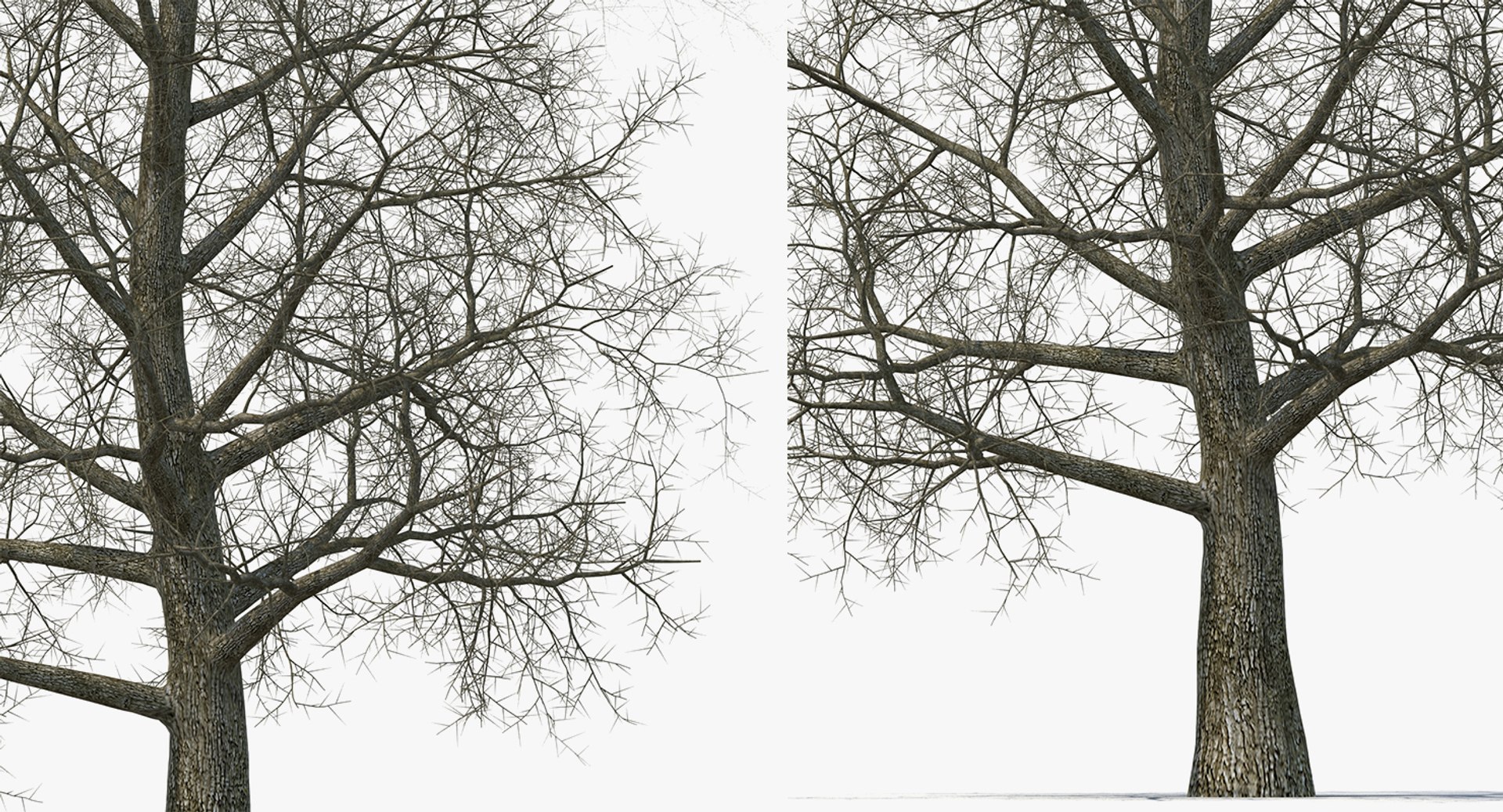 3D model winter trees 4 https://p.turbosquid.com/ts-thumb/6y/sgY7rp/XpyIr15M/wintertreescollection43dmodel025/jpg/1582678499/1920x1080/fit_q87/33fe4687c56ce2caf770d2a230438ee374f5e288/wintertreescollection43dmodel025.jpg