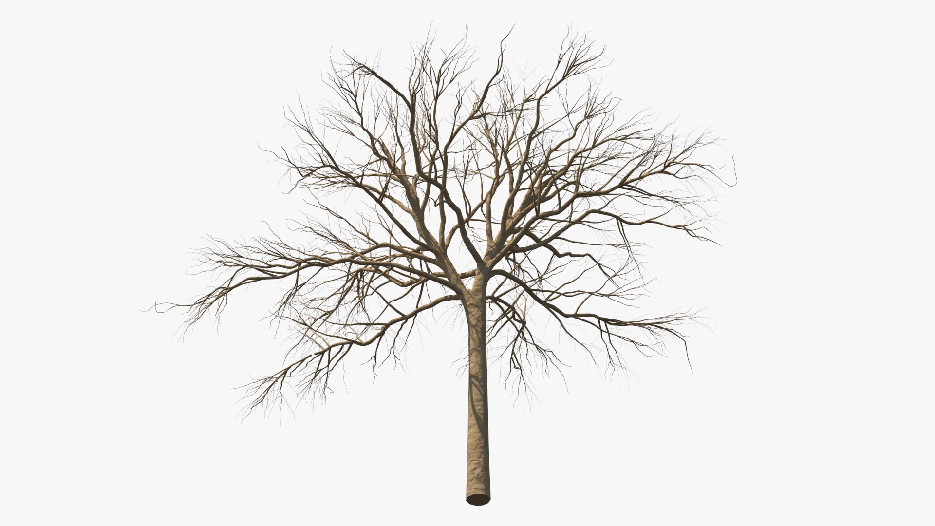 3D model winter trees 4 https://p.turbosquid.com/ts-thumb/6y/sgY7rp/a4hZ3Vk1/wintertreescollection43dmodel003/jpg/1582678367/1920x1080/fit_q87/e375c2a2b5d415c0adb88e1facb96fdcc5f4016b/wintertreescollection43dmodel003.jpg