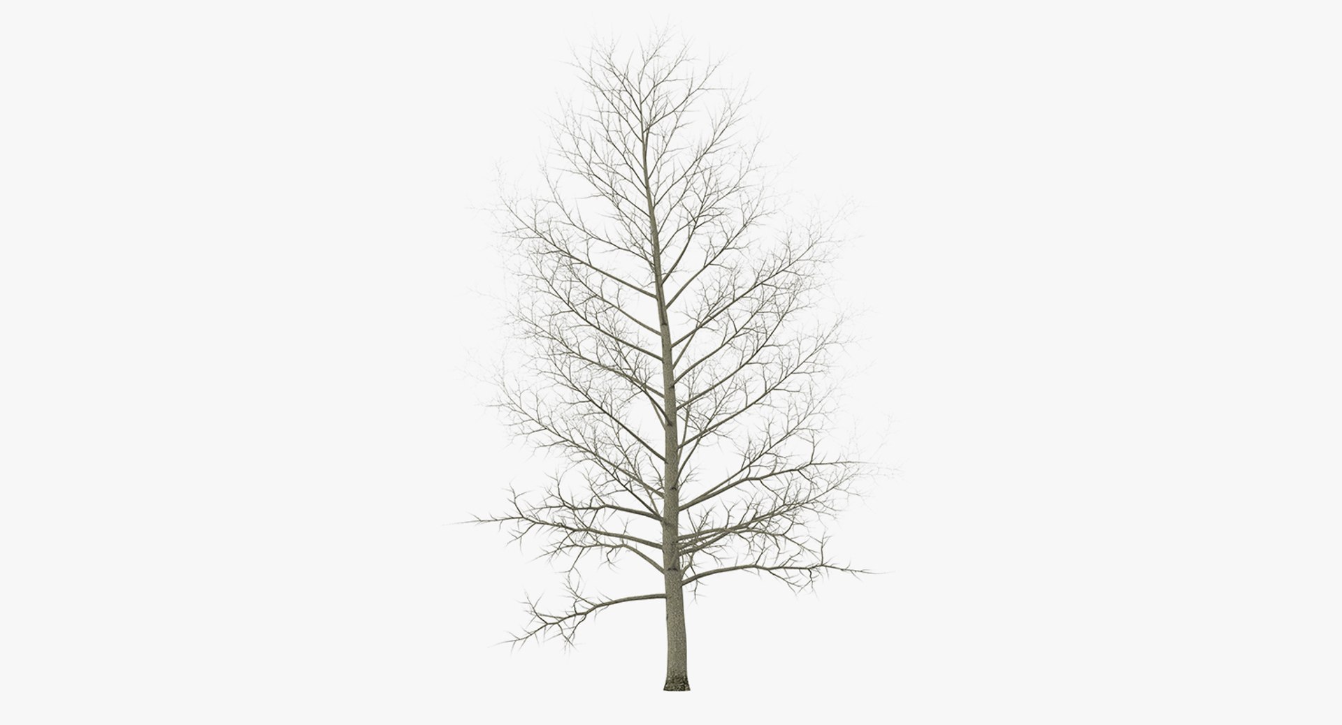 3D model winter trees 4 https://p.turbosquid.com/ts-thumb/6y/sgY7rp/a7LxY1qU/wintertreescollection43dmodel032/jpg/1582678540/1920x1080/fit_q87/907ecc4f971e38ca3165bb18459c43785fc4a807/wintertreescollection43dmodel032.jpg