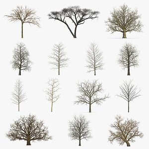 3D model winter trees 4