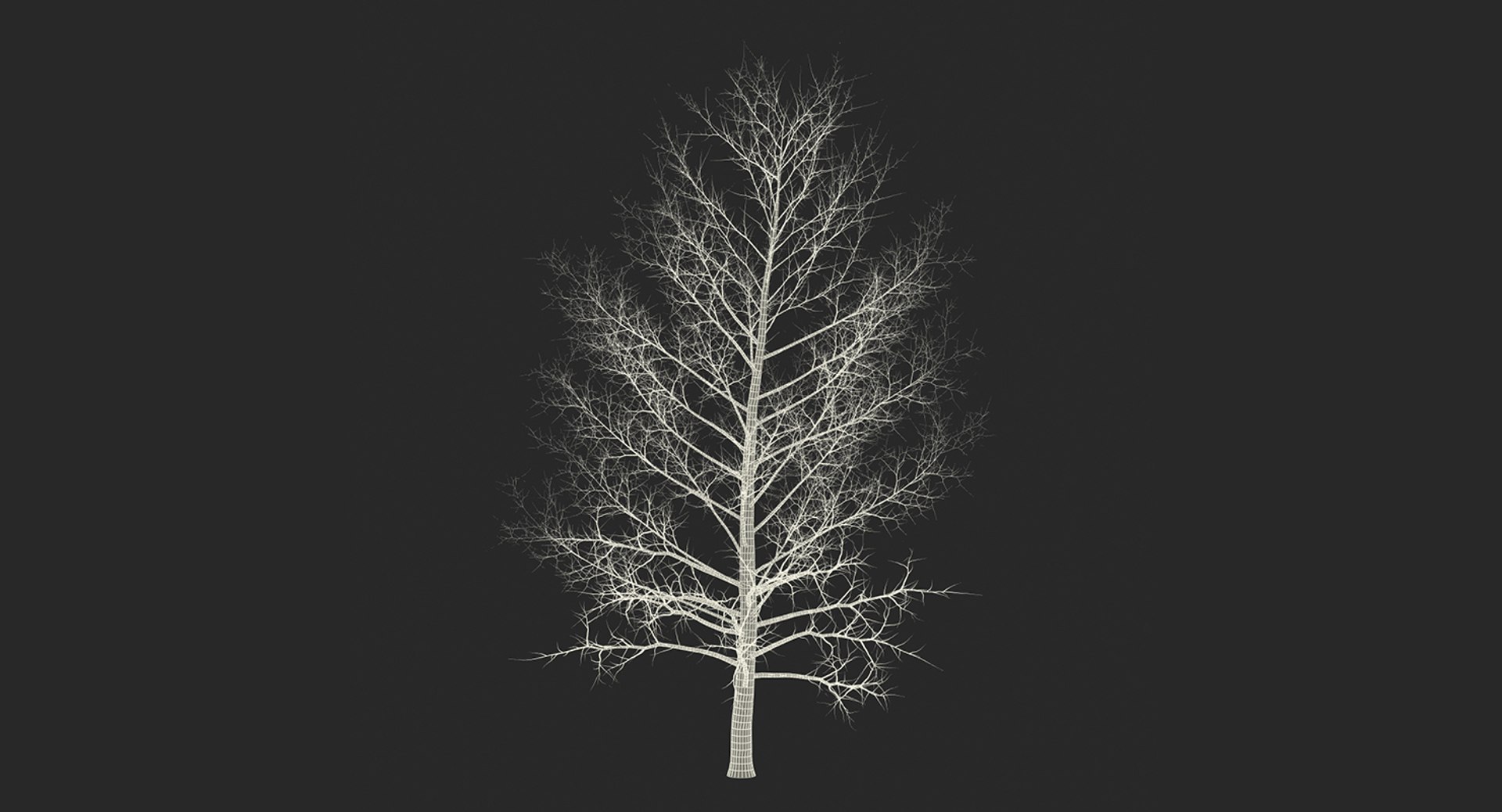 3D model winter trees 4 https://p.turbosquid.com/ts-thumb/6y/sgY7rp/fwQICxWO/wintertreescollection43dmodel053/jpg/1582678656/1920x1080/fit_q87/edeb31ef1a5a76277c965322610c485093cc850a/wintertreescollection43dmodel053.jpg