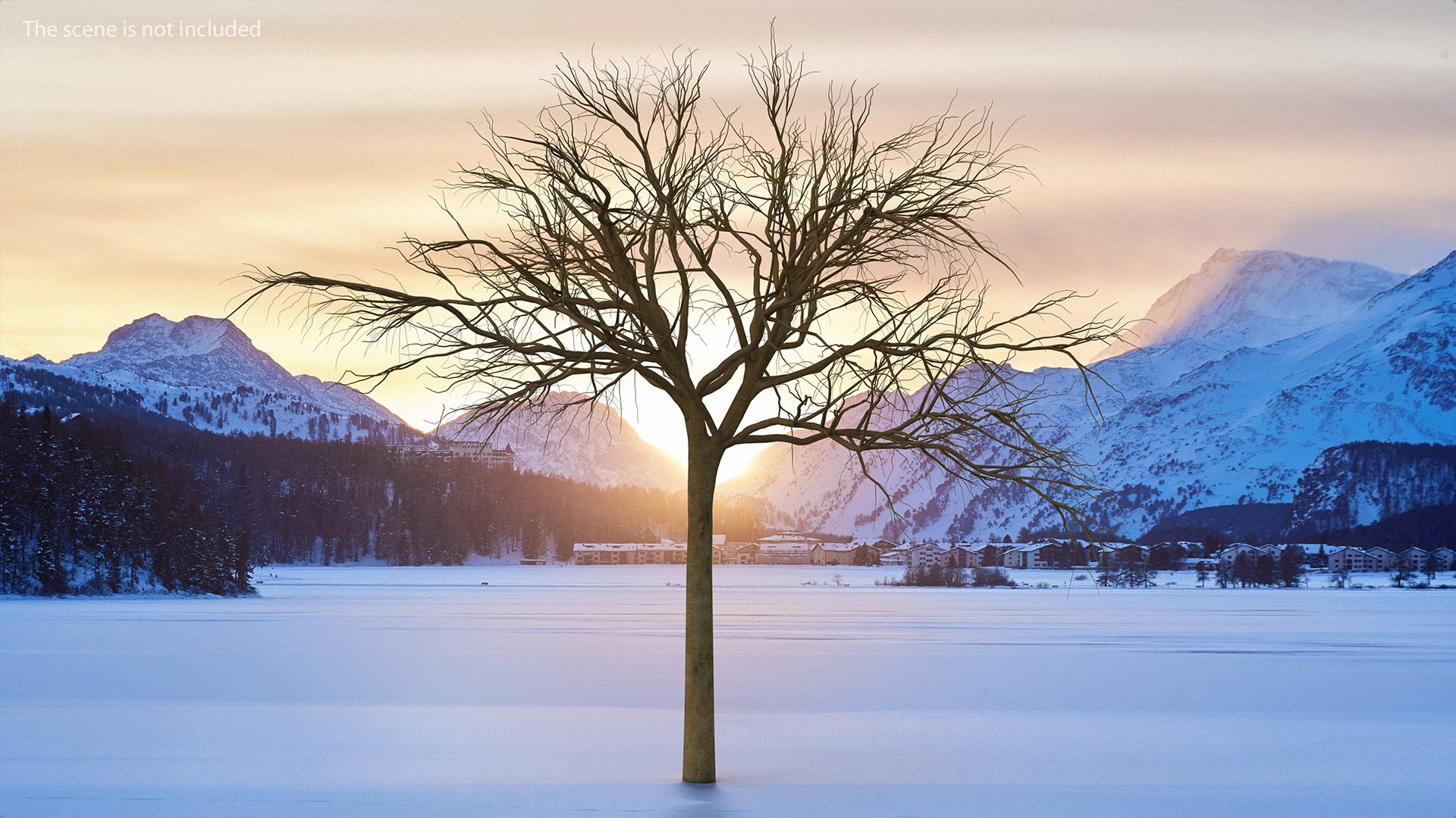 3D model winter trees 4 https://p.turbosquid.com/ts-thumb/6y/sgY7rp/kNbRs4sI/wintertreescollection43dmodel004/jpg/1582678373/1920x1080/fit_q87/4df8f13a42c8ffe27c3eb2689fc5bc8344d33799/wintertreescollection43dmodel004.jpg