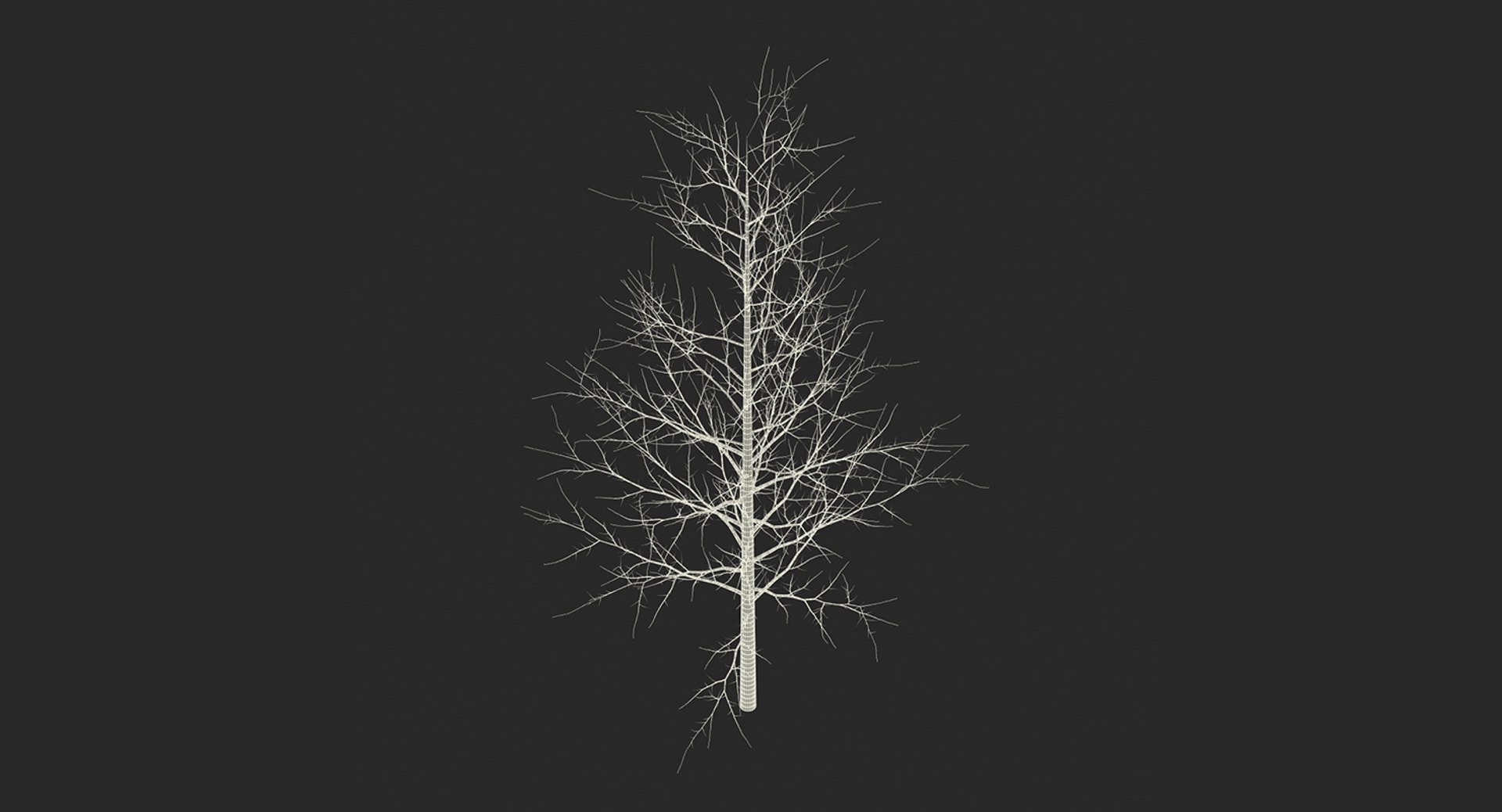 3D model winter trees 4 https://p.turbosquid.com/ts-thumb/6y/sgY7rp/led47Sz2/wintertreescollection43dmodel054/jpg/1582678661/1920x1080/fit_q87/9884598d270ac68857717d0eef545dab052e174c/wintertreescollection43dmodel054.jpg