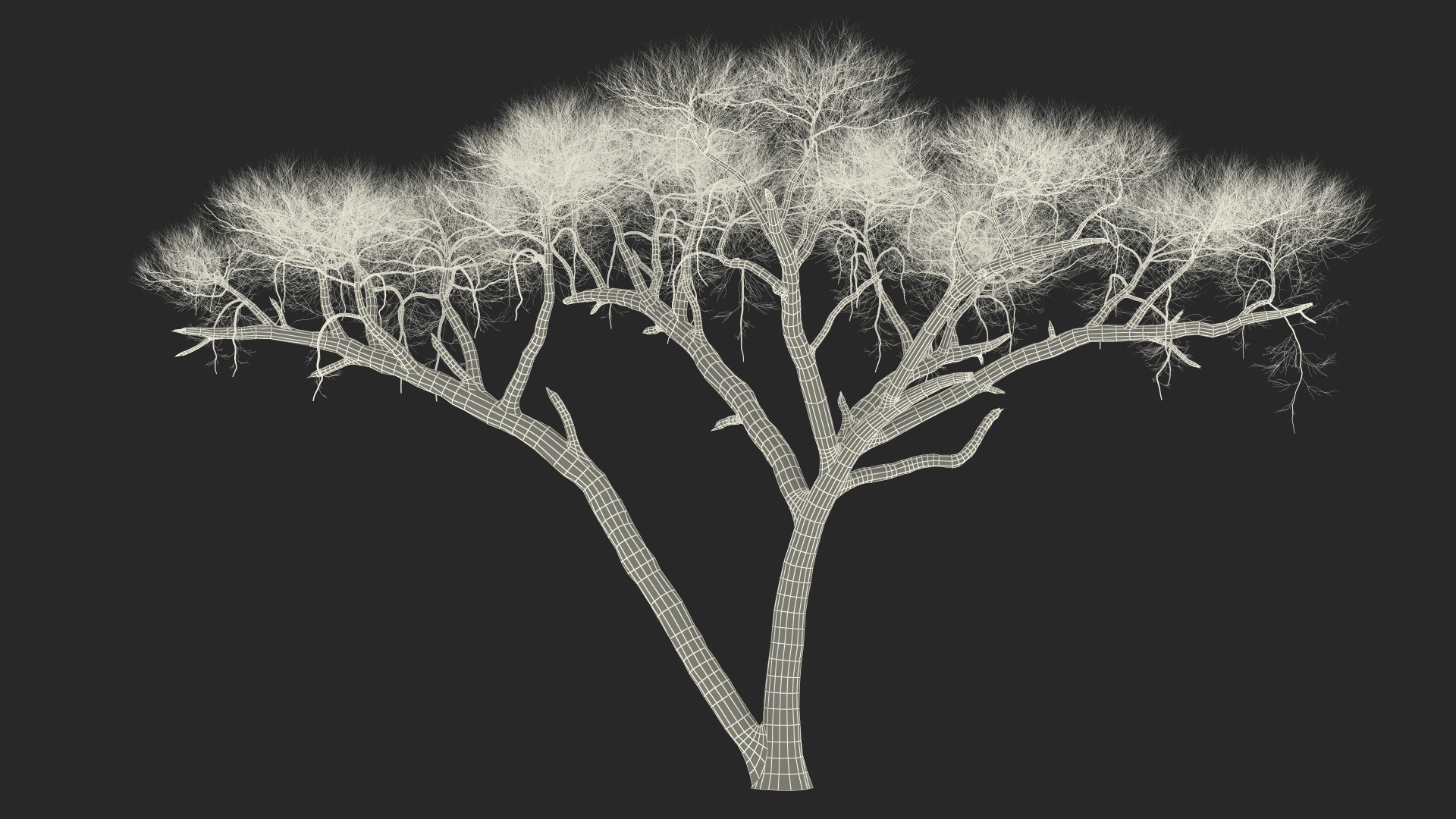 3D model winter trees 4 https://p.turbosquid.com/ts-thumb/6y/sgY7rp/qSLcM4NG/wintertreescollection43dmodel047/jpg/1582678623/1920x1080/fit_q87/445dad230b469fd14e2932d33a2afd98f5fcc492/wintertreescollection43dmodel047.jpg