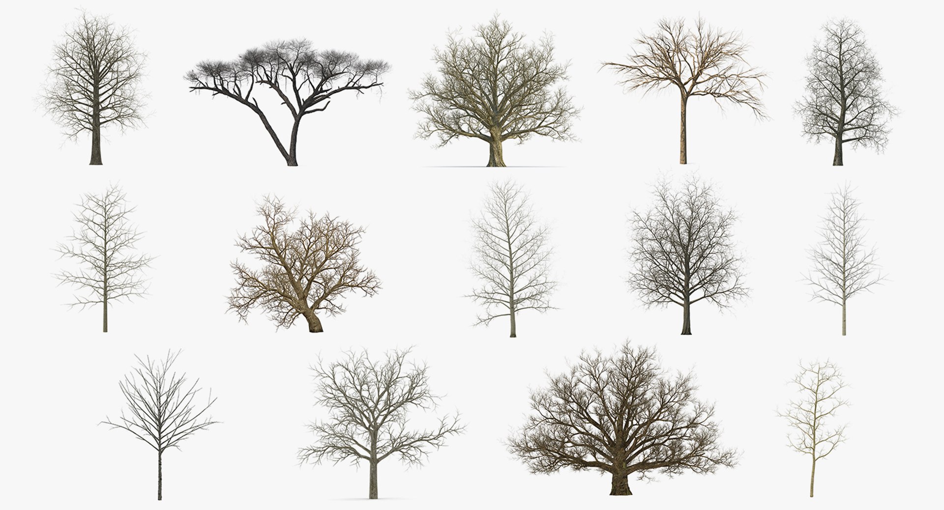 3D model winter trees 4 https://p.turbosquid.com/ts-thumb/6y/sgY7rp/r94NWJvU/wintertreescollection43dmodel002/jpg/1582678361/1920x1080/fit_q87/32e7b7f1fc8f2cb3614da688066aaa888de1d830/wintertreescollection43dmodel002.jpg