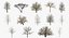 Winter Trees Collection 4