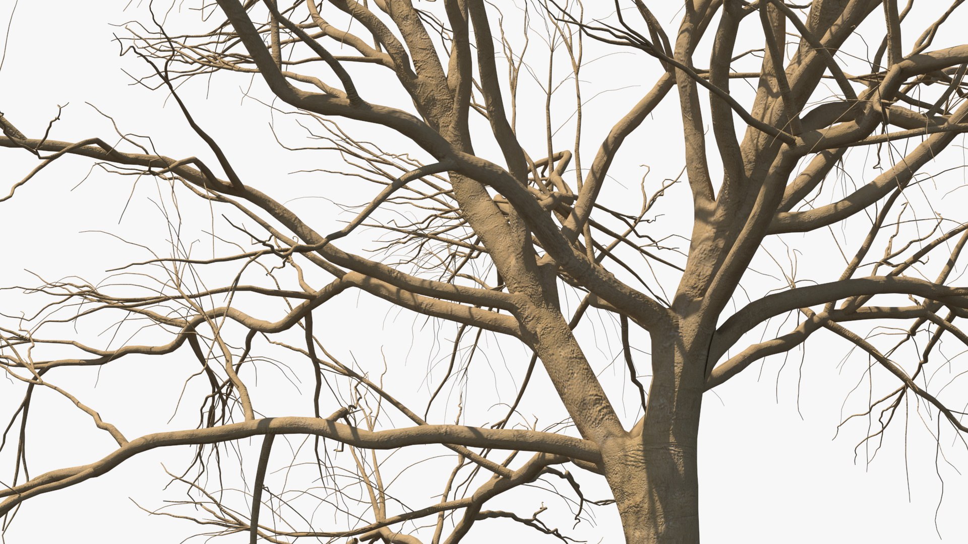 3D model winter trees 4 https://p.turbosquid.com/ts-thumb/6y/sgY7rp/tKjs7xUl/wintertreescollection43dmodel008/jpg/1582678397/1920x1080/fit_q87/ec8ecc062edfdcaca6e21b7faf8c0d8aad2c5401/wintertreescollection43dmodel008.jpg