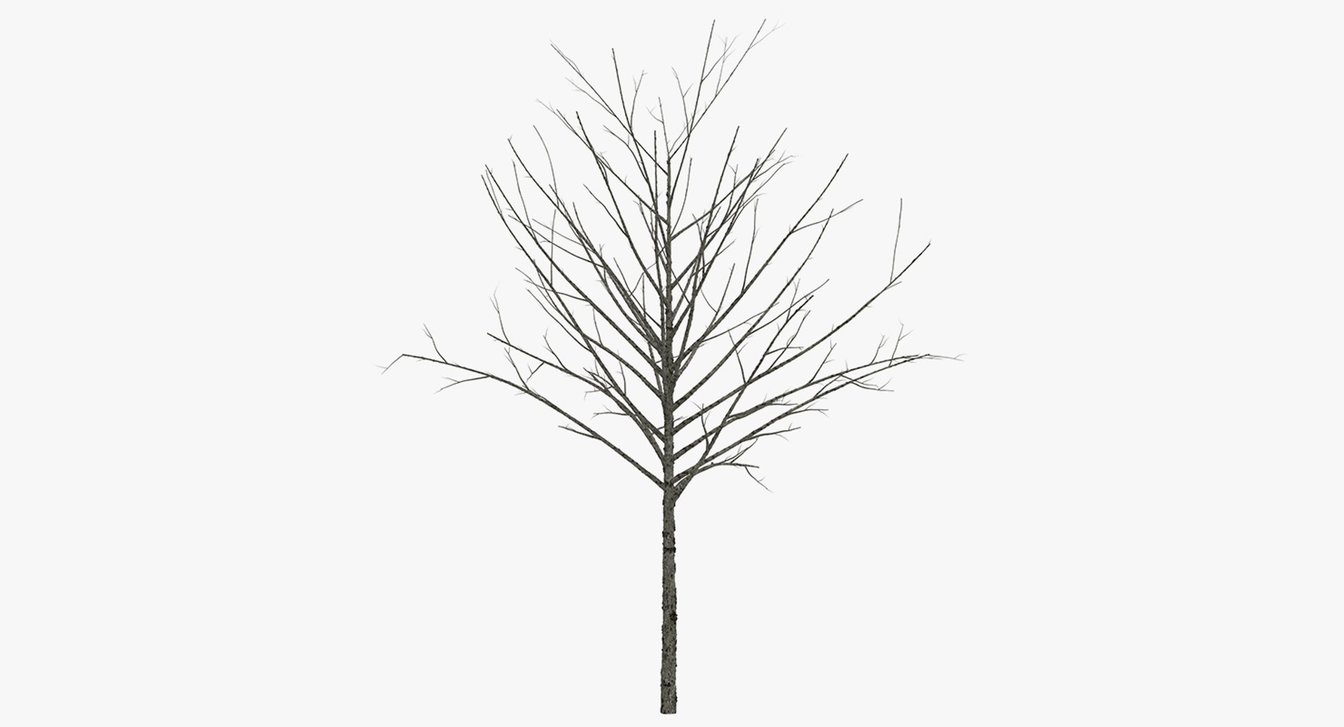 3D model winter trees 4 https://p.turbosquid.com/ts-thumb/6y/sgY7rp/y1yo29Ih/wintertreescollection43dmodel038/jpg/1582678573/1920x1080/fit_q87/e1584eaa1f3d8a99279d6864c6a32a30b30a5672/wintertreescollection43dmodel038.jpg