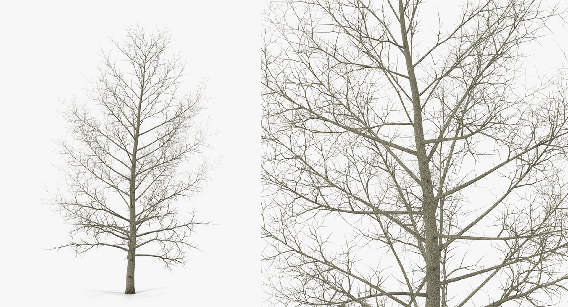 3D model winter trees 4 https://p.turbosquid.com/ts-thumb/6y/sgY7rp/yrlSq8Nq/wintertreescollection43dmodel033/jpg/1582678545/1920x1080/fit_q87/8aedfd01d8ce04989b62cc959f118b0647a18f70/wintertreescollection43dmodel033.jpg