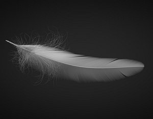feather for Cinema4d