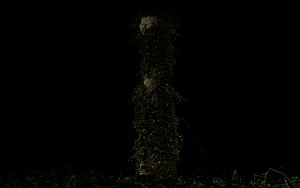 Column With Vegetation