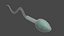 3D Sperm