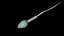 3D Sperm