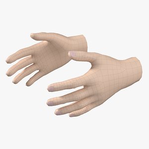 3D Female Hand Base Mesh 05
